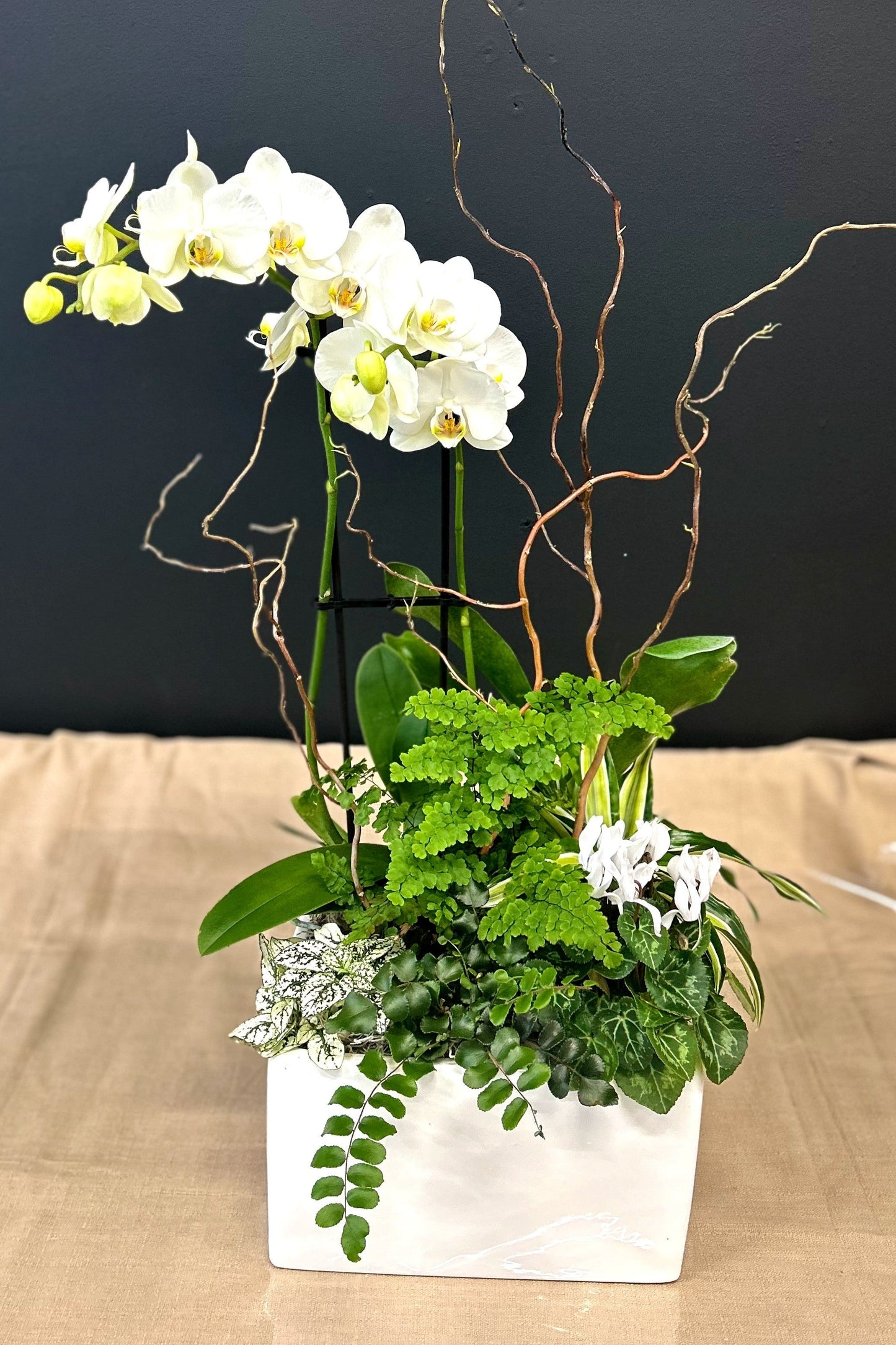 "Sentimental Orchid" Planter