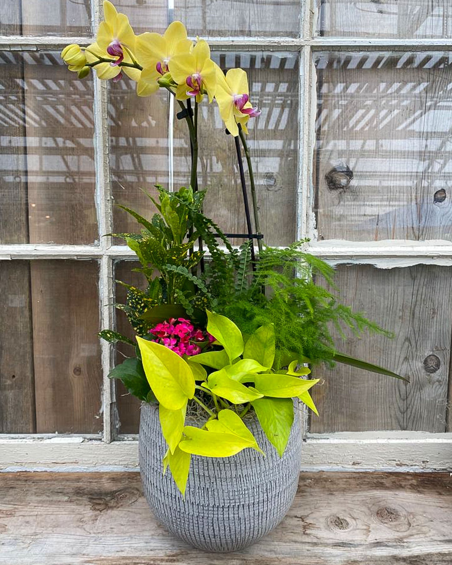 "Paradise Promise" Planter