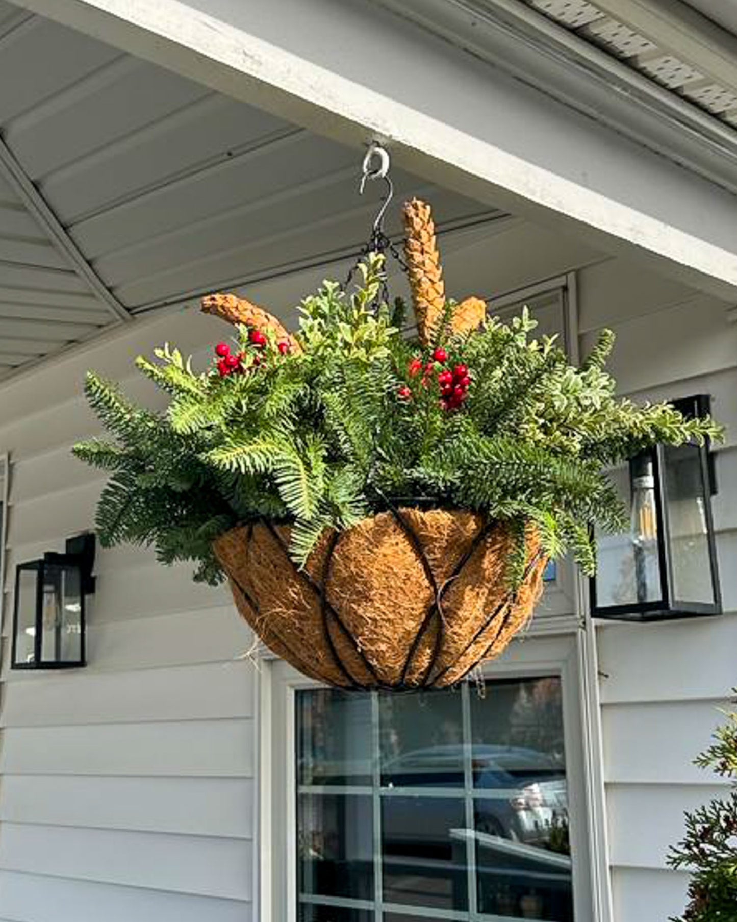 "Northern Lights" Hanging Planter