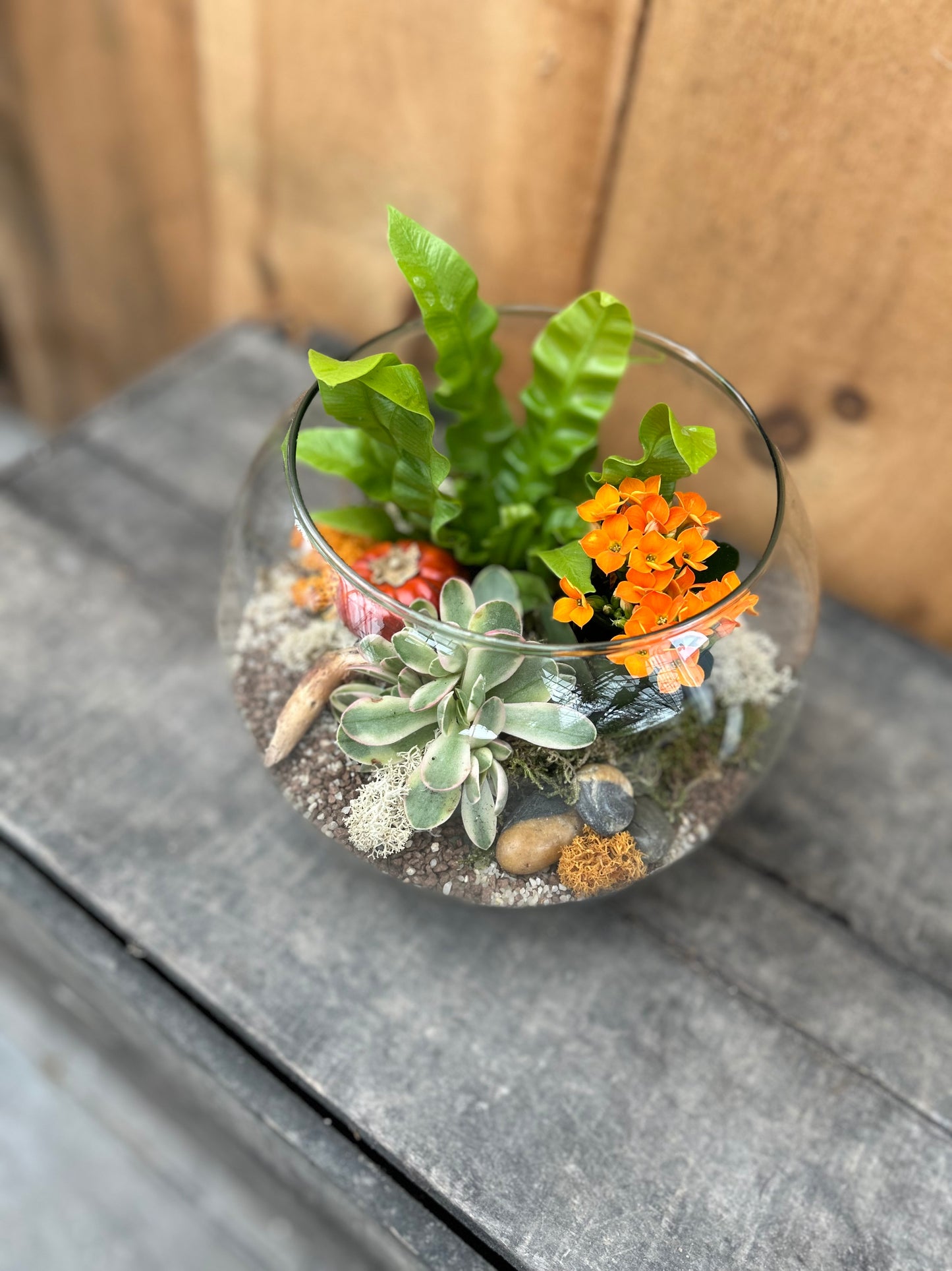 "Harvest Bowl" Planter