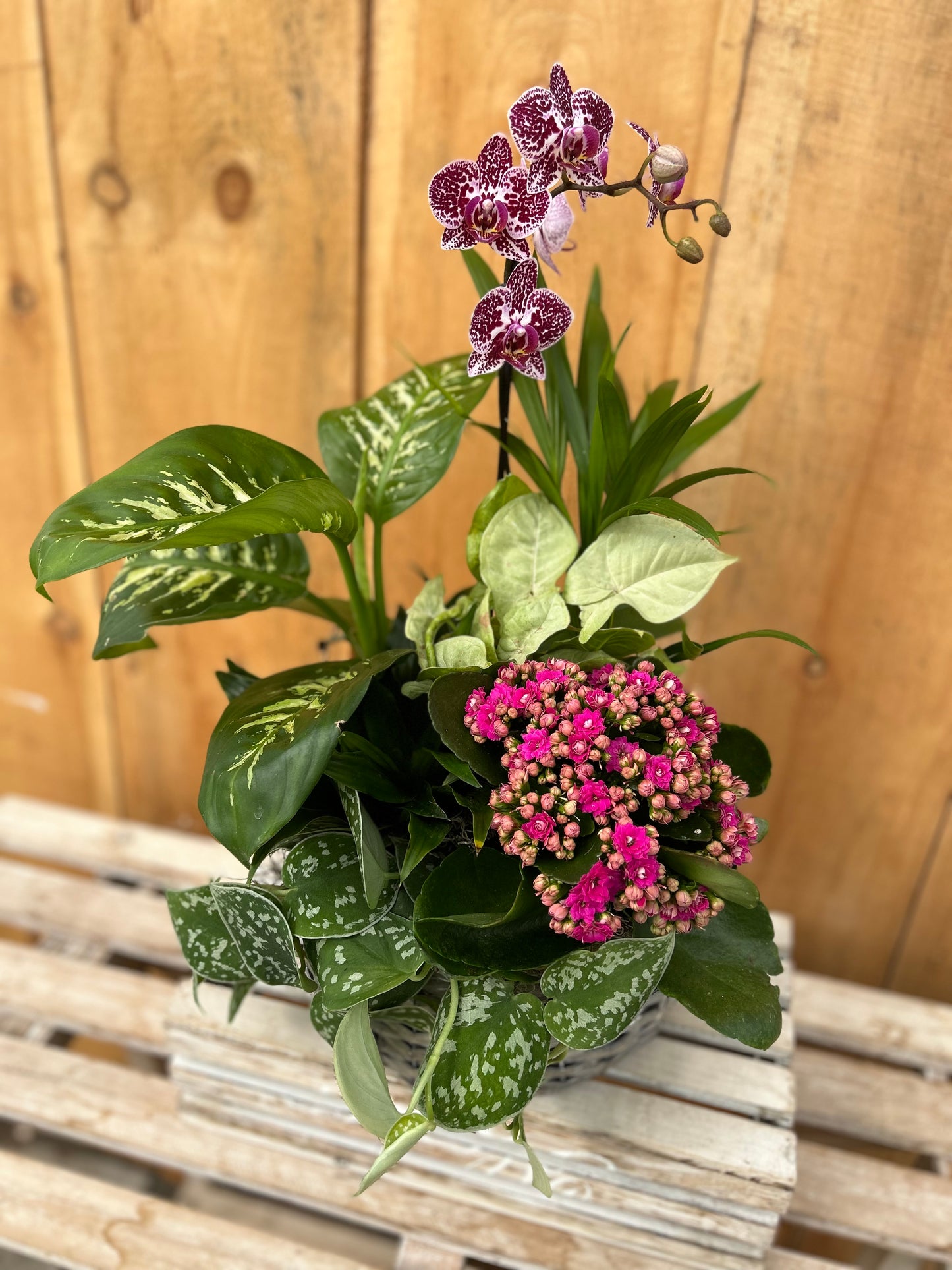 "Blooming Harmony" Planter