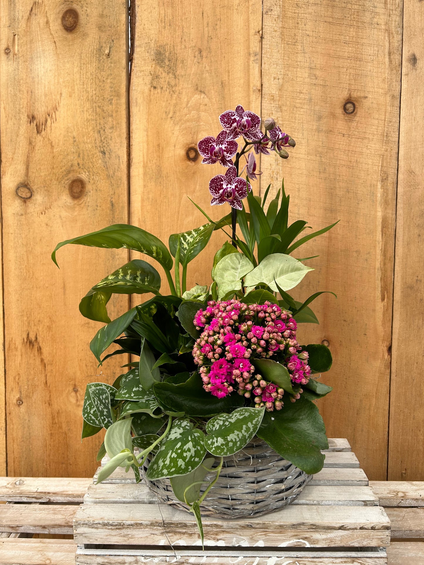 "Blooming Harmony" Planter