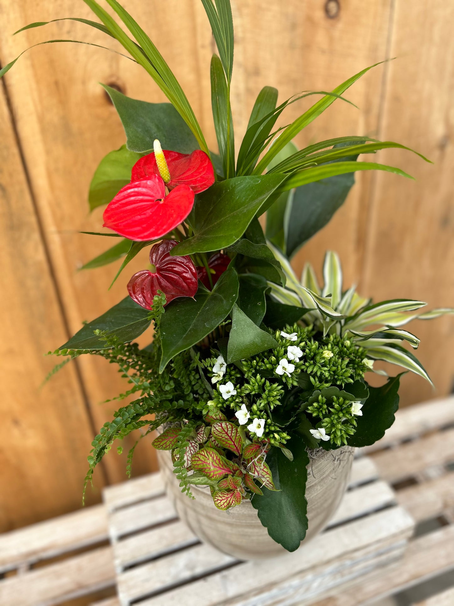 "Heart of Paradise" Planter
