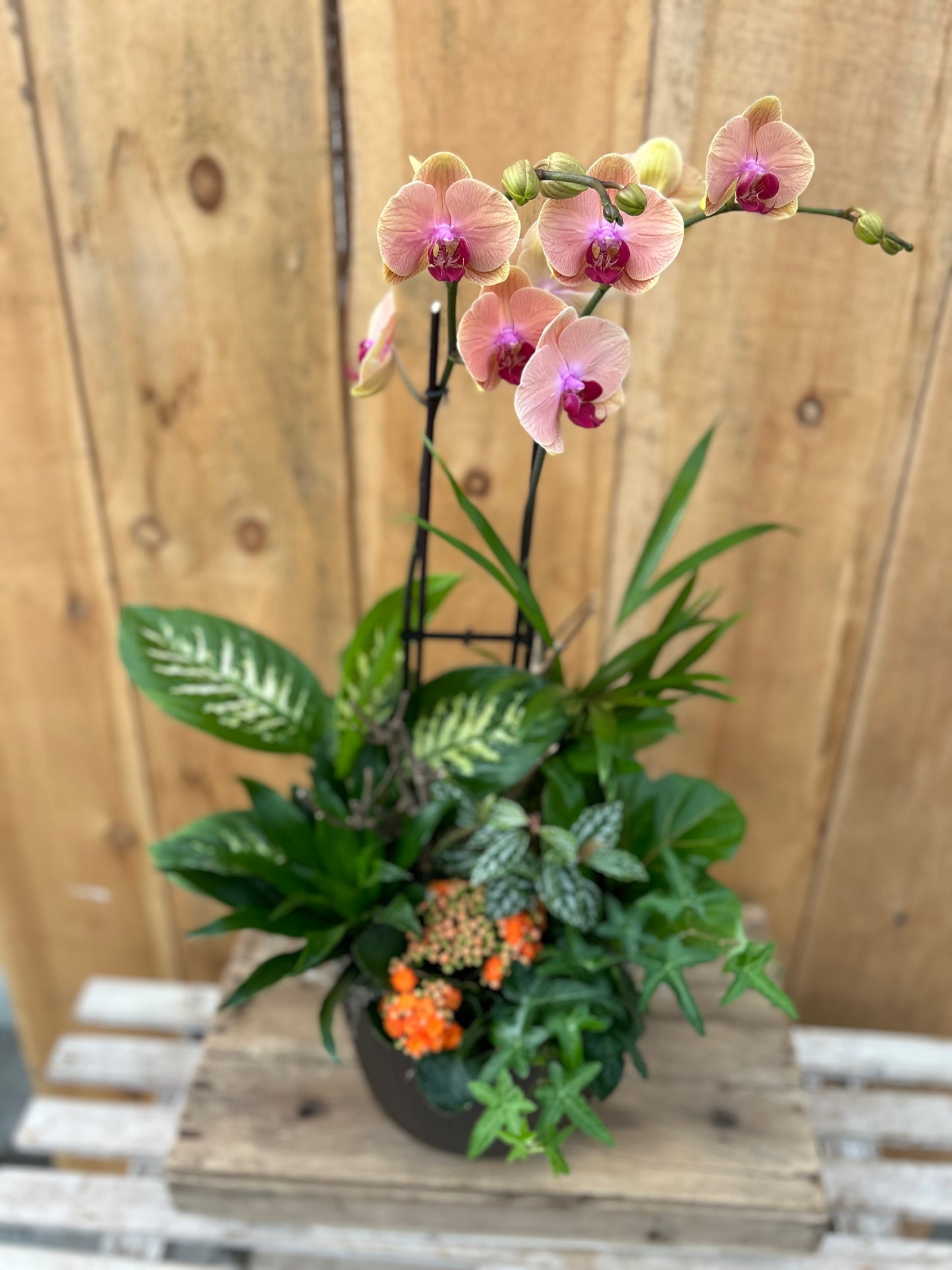 'Flower Fusion" Planter