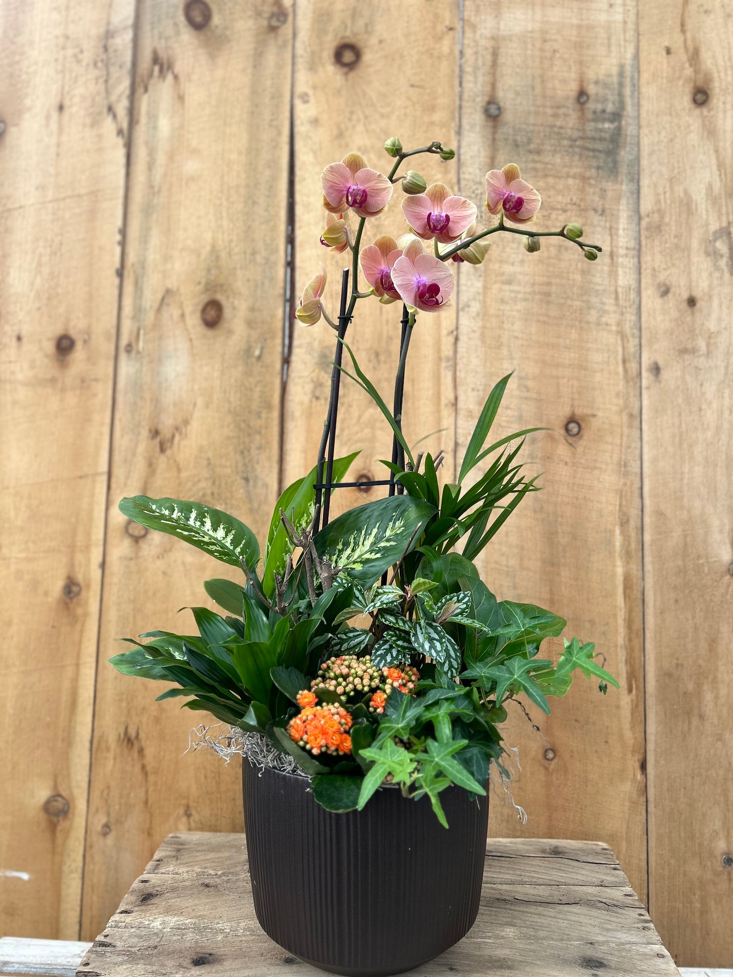 'Flower Fusion" Planter