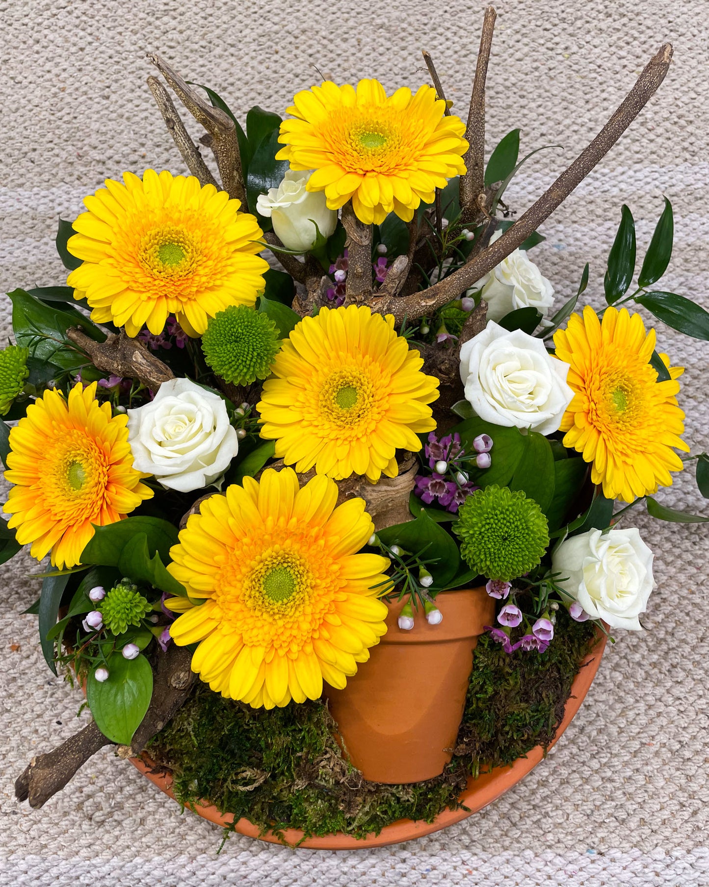 "Above the Trees" Arrangement