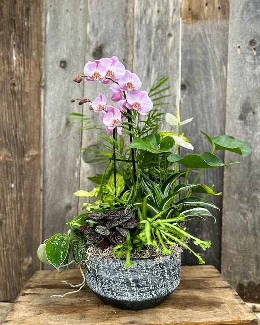 "Orchid Whispers" Planter