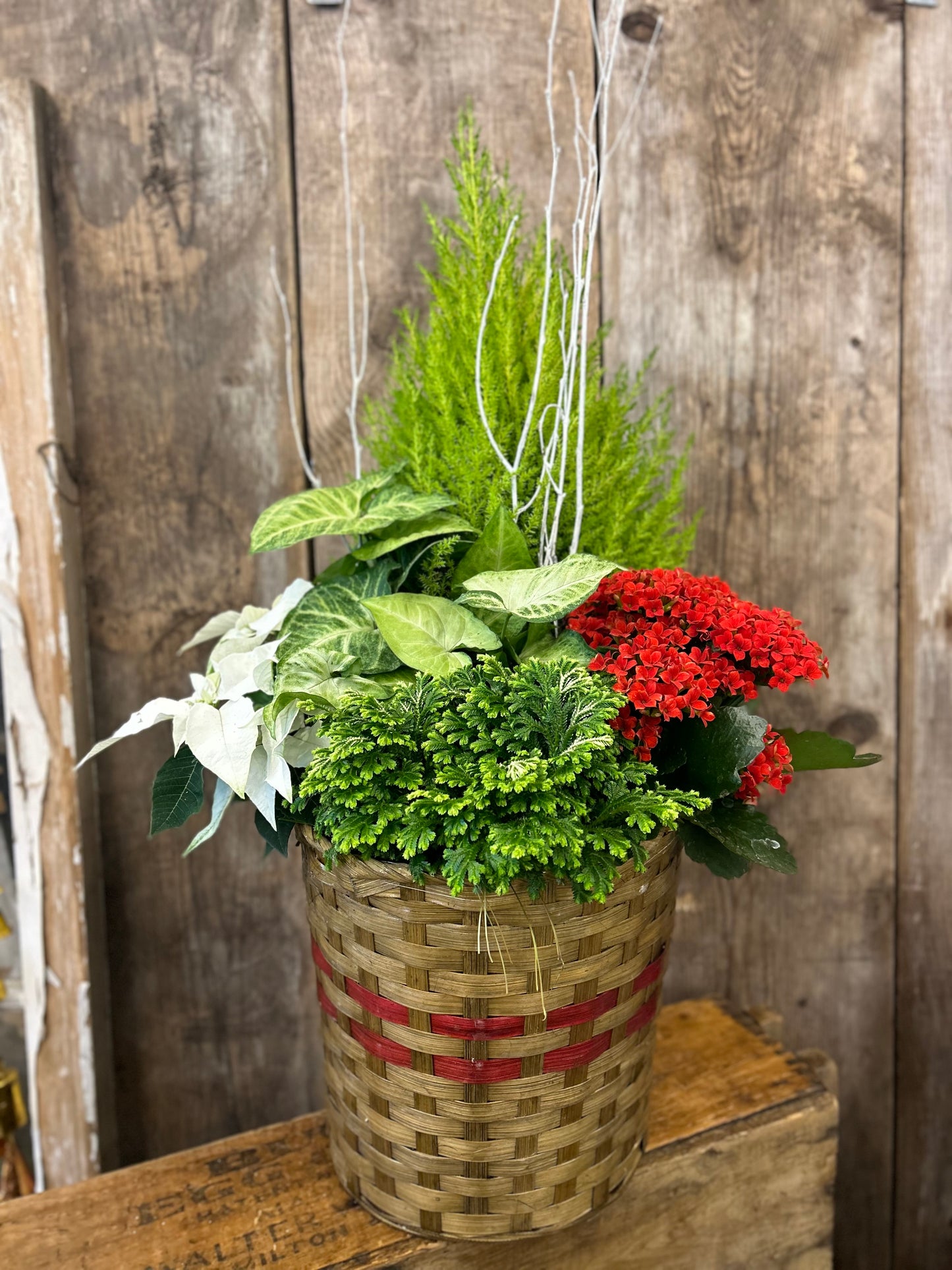 'Christmas Basket' Planter