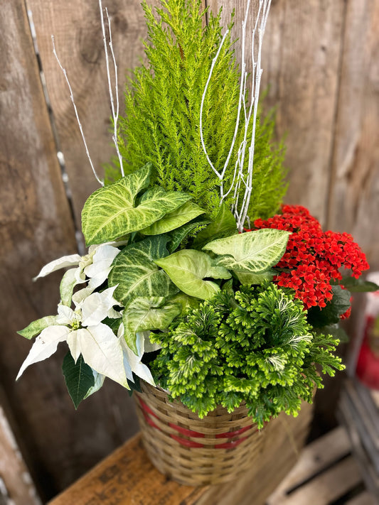 'Christmas Basket' Planter