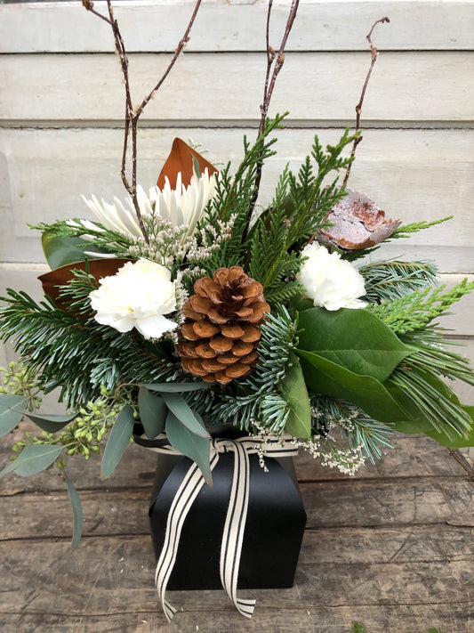 'Winter Fresh' Aquatico Arrangement