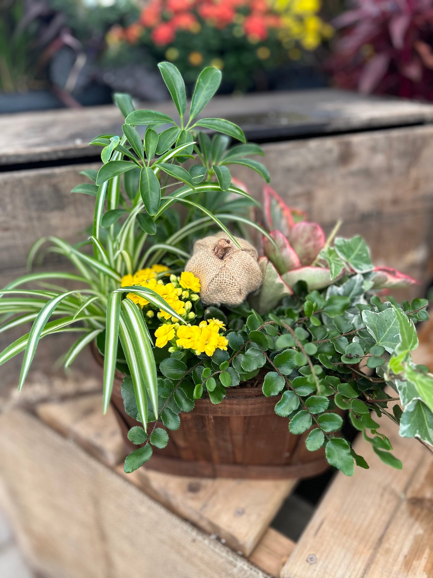"Harvest Haven" Planter