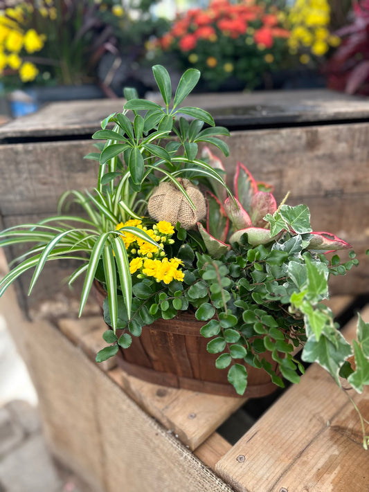 "Harvest Haven" Planter