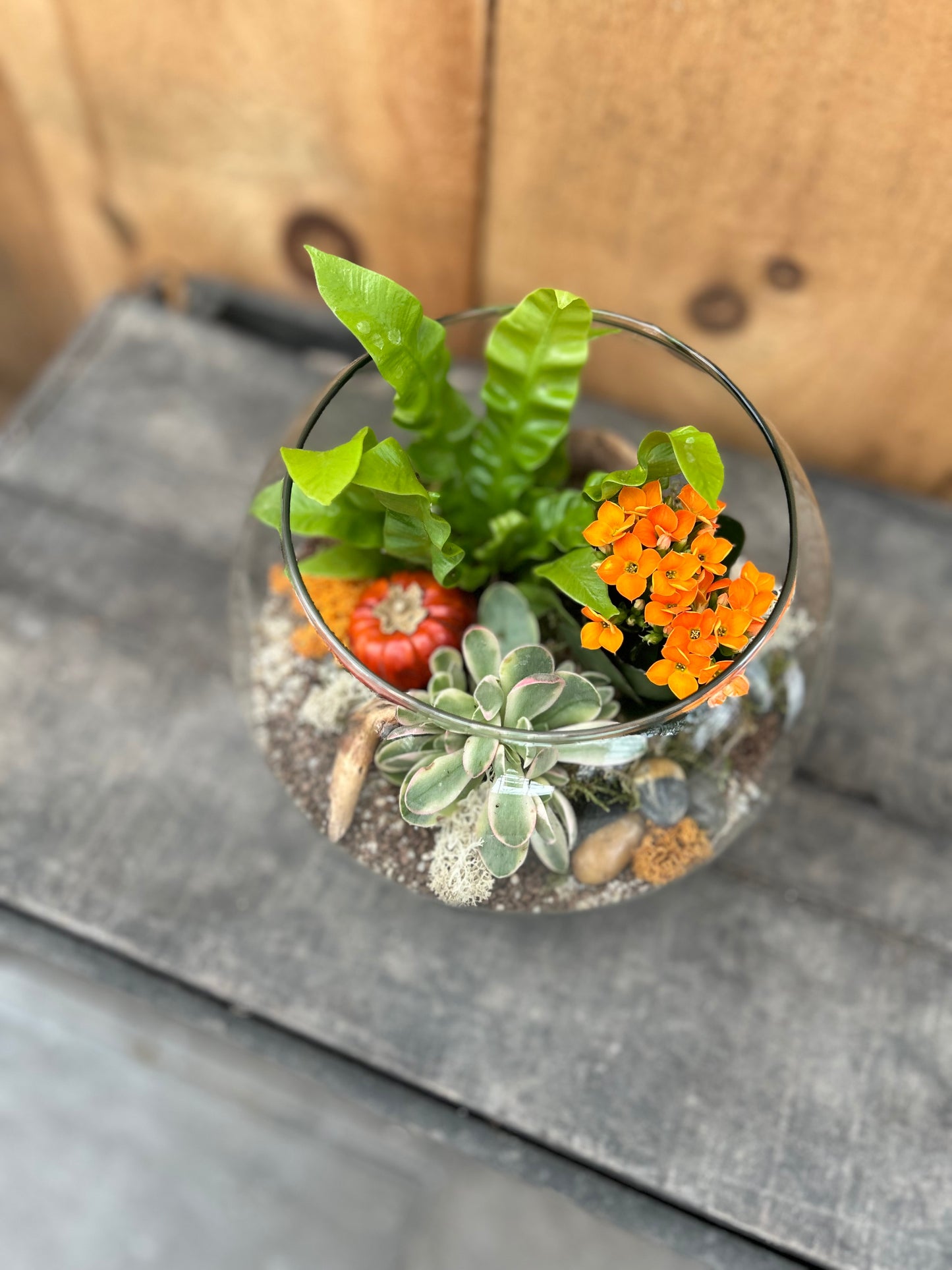 "Harvest Bowl" Planter