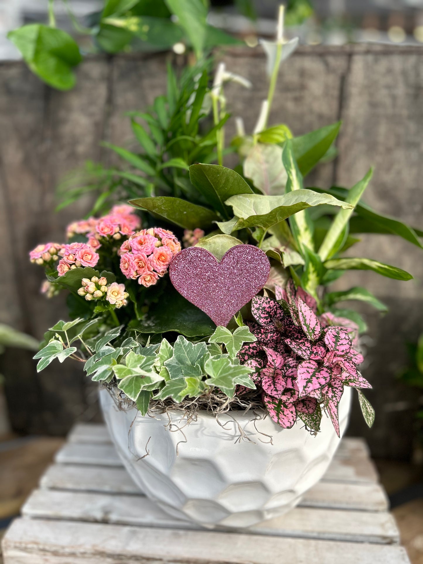 'Pink Bliss' Dish Garden